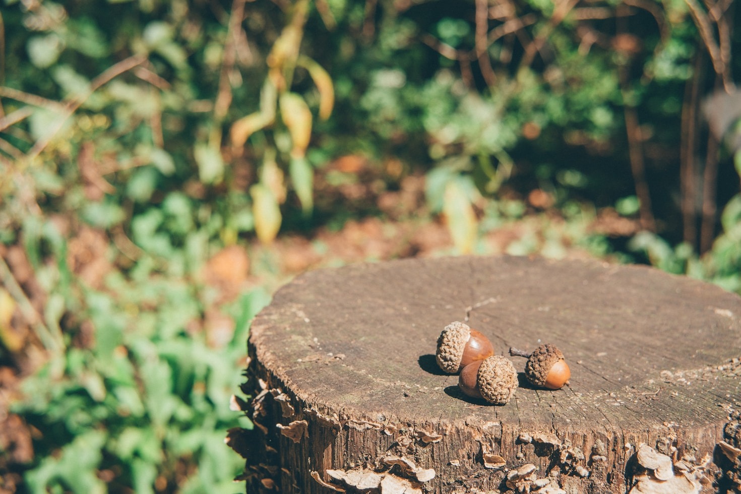 How We Took the Leap Into Adventure