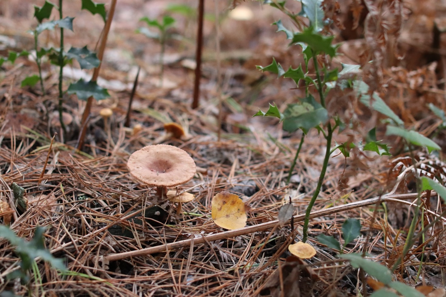 Redefining Success: Our Midlife Transformation